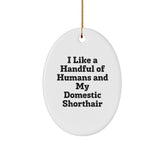 Funny Domestic Shorthair Cat Gifts, Oval Ornament for Men or Women Friends Family, I Like A Handful Of Humans And My Domestic Shorthair, Christmas Unique Gifts from Home - Image 1